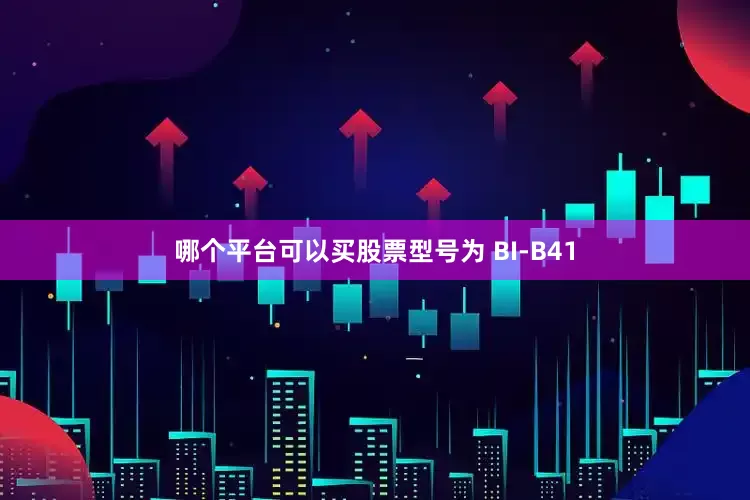 哪个平台可以买股票型号为 BI-B41